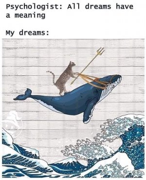 dreams.jpg