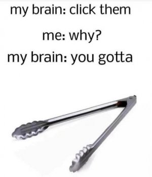 why.jpg