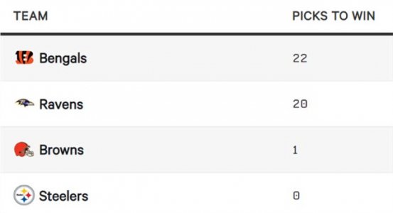 x2 afc north.jpg
