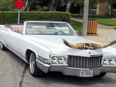 Boss Hogg.2.jpeg