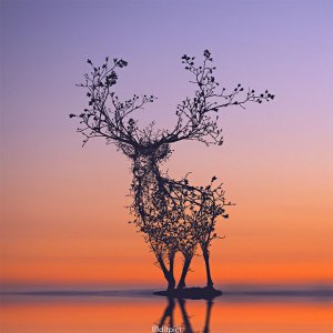 animals_photoshop_digital_art_aditya_aryanto_01.jpg