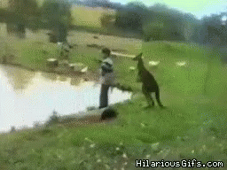 0.gif