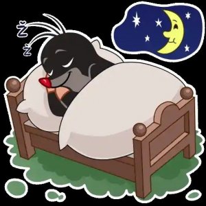 c77860eb5b7690fae78d3f2a56d0d28f[1].jpg