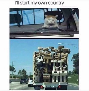 E2B6D1DB-E9A1-400F-A234-C83500F43275.jpeg