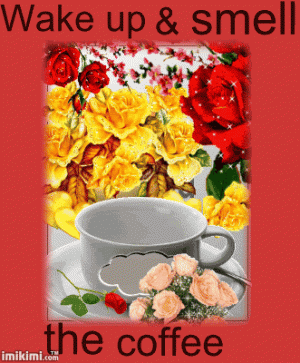 1cb671cd383d47a18d9e73d95471901b.gif