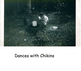 dances with chikins.jpg