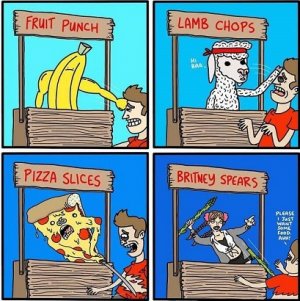 stands.jpg