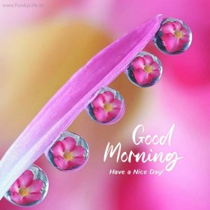good-morning-image-funkylife-406.jpg