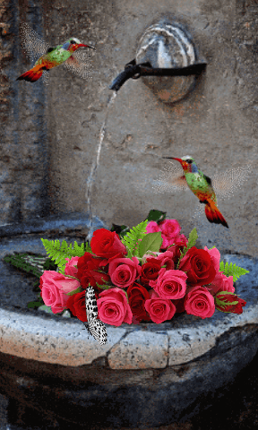 4DD093C0-EEFD-4F37-A51F-31E83840050D.gif