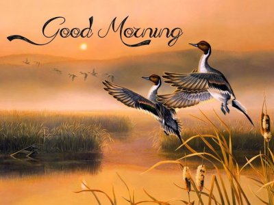 sunrise.jpg