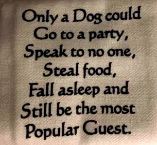 dogs.jpg