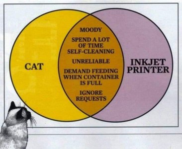 cat-printer.jpg
