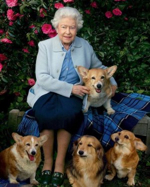 HRH and Corgis.2022.JPG