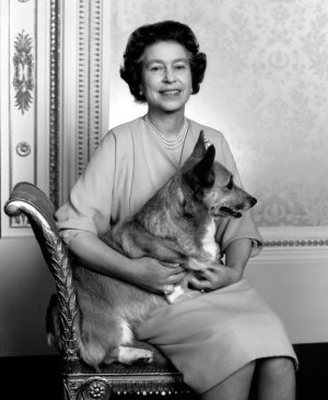 Queen and Corgi .JPG