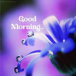 good-morning-image-funkylife-400.jpg