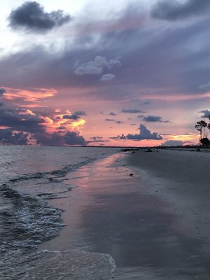 IMG_2667.jpg