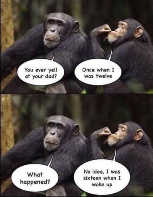 FB_IMG_1662708342828.jpg