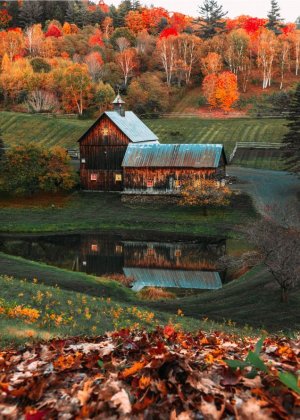 21e6c2651682d47ec450a20b2d94cf05[1].jpg