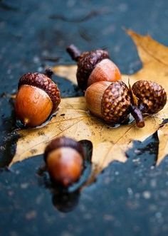 587f78e7879086410e84ab37f0b9a512[1].jpg