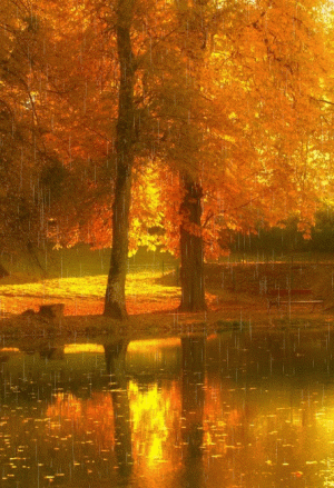 a1d7eb823bea7716f10dae51b69e37e7[1].gif