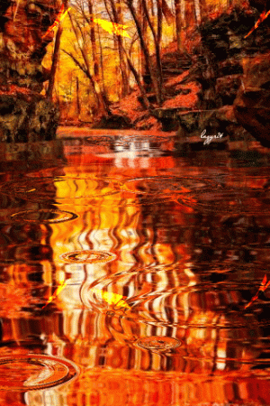 82043b198a61829105a5289e26dd3806[1].gif