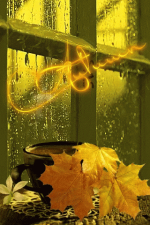 41821bb4352417f4cd985e4193e392d9[1].gif