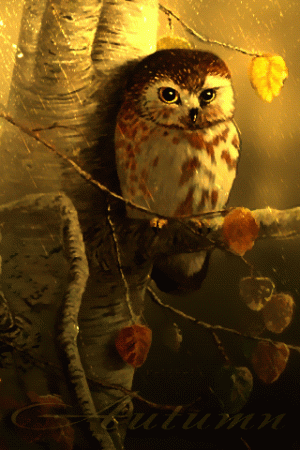 12e1a3a2fed25c7631196b66d0a1a98d[1].gif