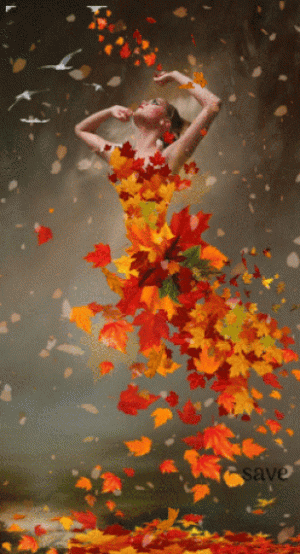 d3fcd9a347d9e5cfe6706a898e0fb704[1].gif