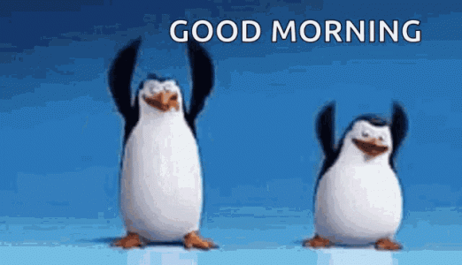 penguins.gif