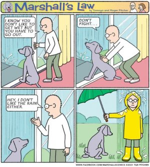 rain.dog.jpg