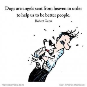 dogs.r.angels.jpg