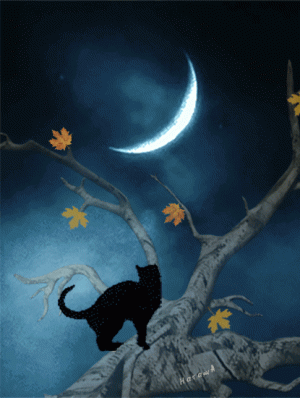 694e42632b3da2c884efd8e1f617a72c.gif