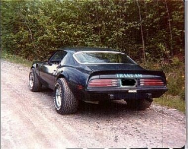 bluetransam.jpg