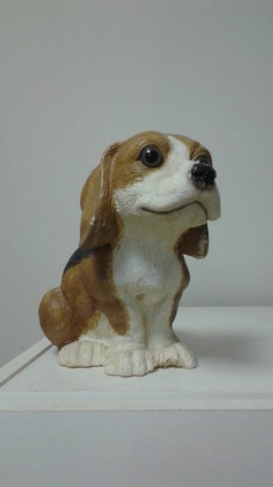 pooch.jpg