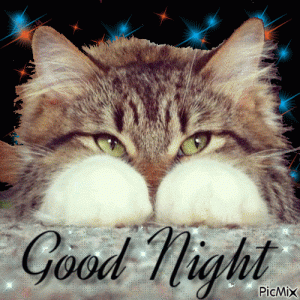 Good-Night.kitty.gif