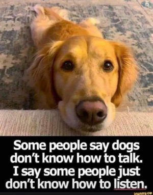 listen.jpg