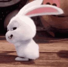happy-easter-bunny.gif