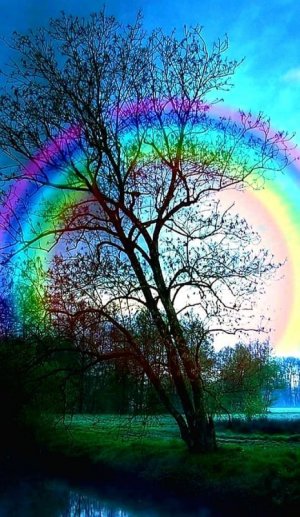 tumblr_a68cc1bde3c7200badfde72a87883e74_d00c96ce_640.jpg