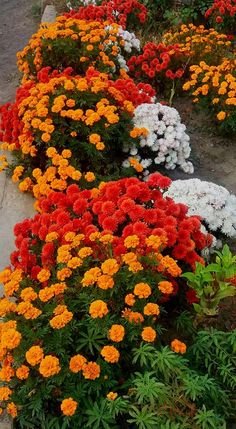 bdd587034ff6a3b1a06a06dc251e78d1[1].jpg
