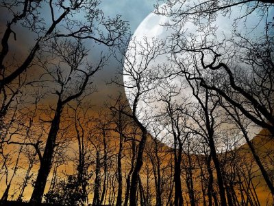 fallmoon.jpg