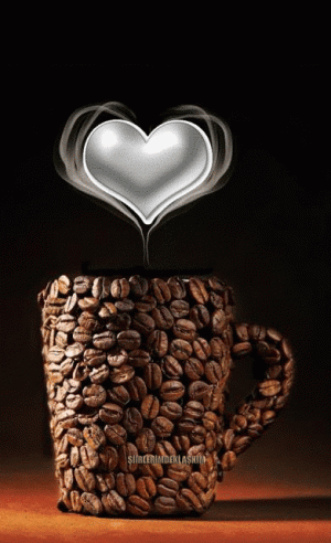 b751855f9cfb7a0984b5f0a36a48c508.gif