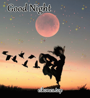 goodnight.gif