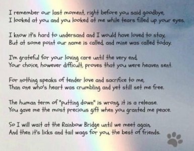 last goodbye.jpg