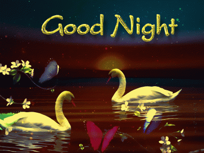 B1692F55-A2F1-4FA4-9A98-44768EC709F4.gif