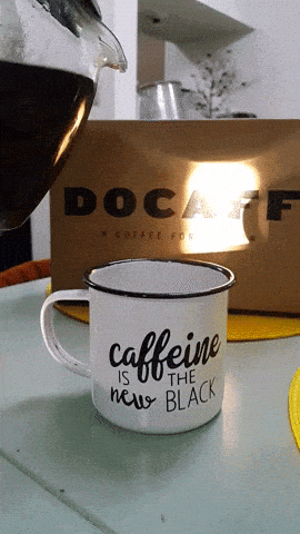 2F5FC19F-A5E1-411E-9C2E-4B3880F6282D.gif