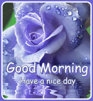good-morning-have-a-nice-day.gif