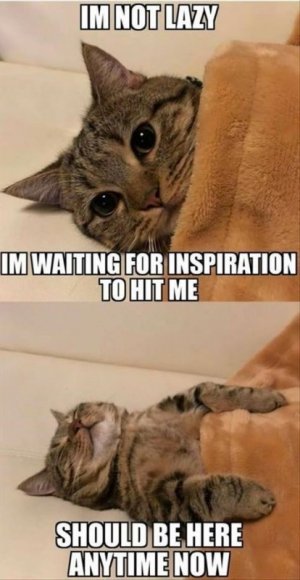 waiting4inspirationjpg.jpg