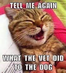 tellmeagain.jpg
