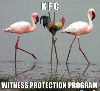 kfc.jpg