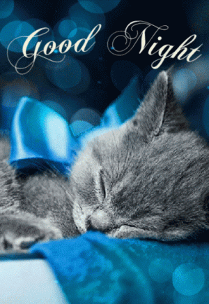 344348-Sleeping-Kitty-Good-Night-Gif.gif
